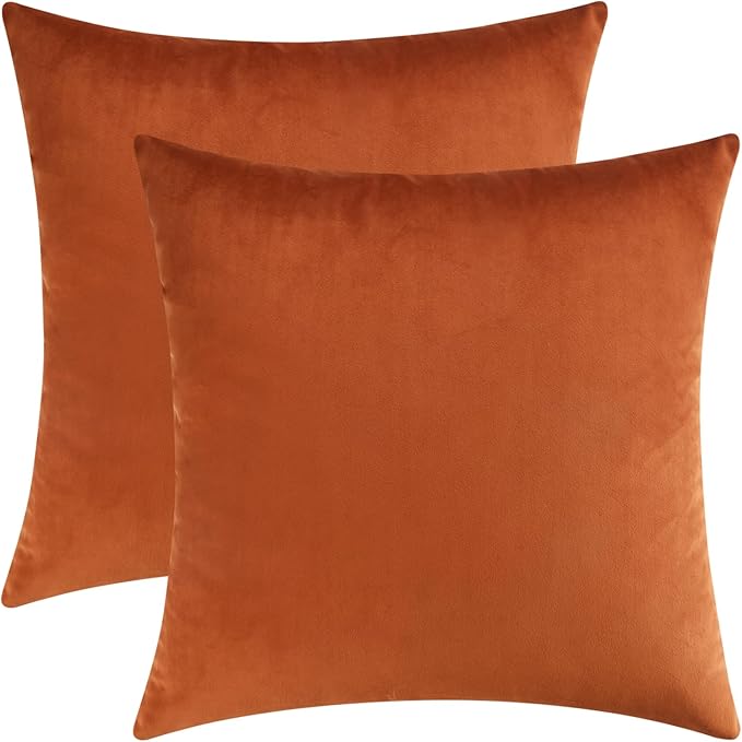 A pair of elegant burnt orange velvet throw pillows displayed against a white background, offering a stylish and vibrant touch to any décor. no-save
