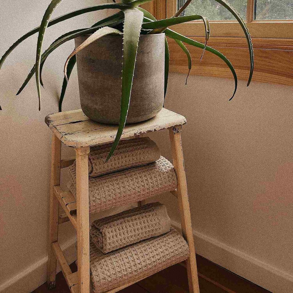 A rustic wooden stool with a worn surface, holding three folded beige towels and a large potted aloe vera plant, positioned in front of a window with a wooden frame. no-save